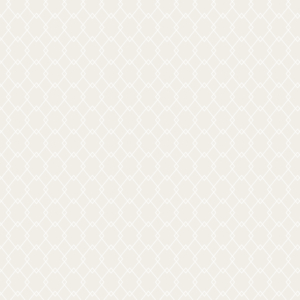 Background About 04