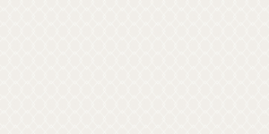 Background Section 04